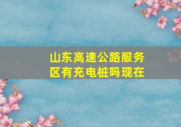 山东高速公路服务区有充电桩吗现在