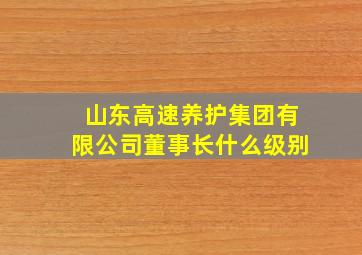 山东高速养护集团有限公司董事长什么级别