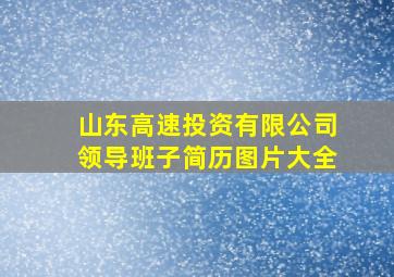 山东高速投资有限公司领导班子简历图片大全