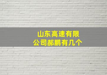 山东高速有限公司郝鹏有几个