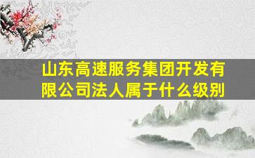 山东高速服务集团开发有限公司法人属于什么级别