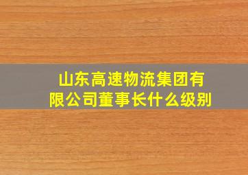 山东高速物流集团有限公司董事长什么级别