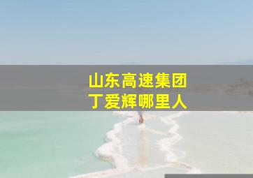 山东高速集团丁爱辉哪里人