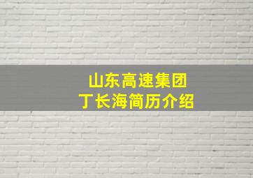 山东高速集团丁长海简历介绍