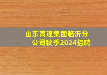 山东高速集团临沂分公司秋季2024招聘