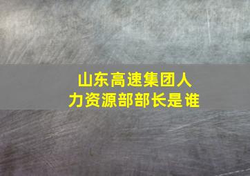 山东高速集团人力资源部部长是谁