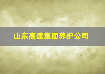 山东高速集团养护公司