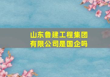 山东鲁建工程集团有限公司是国企吗