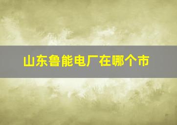 山东鲁能电厂在哪个市