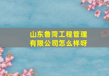 山东鲁菏工程管理有限公司怎么样呀