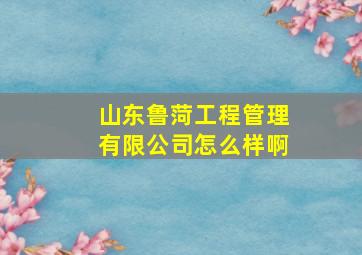 山东鲁菏工程管理有限公司怎么样啊