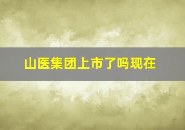 山医集团上市了吗现在