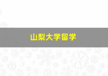 山梨大学留学