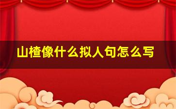 山楂像什么拟人句怎么写