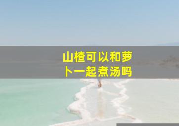 山楂可以和萝卜一起煮汤吗