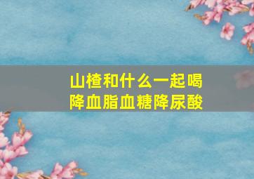 山楂和什么一起喝降血脂血糖降尿酸