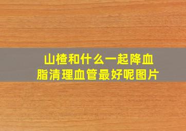 山楂和什么一起降血脂清理血管最好呢图片