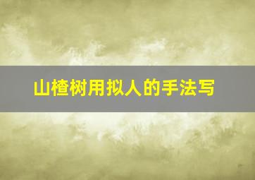 山楂树用拟人的手法写