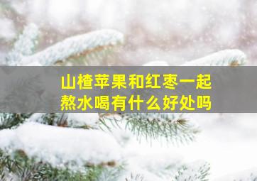 山楂苹果和红枣一起熬水喝有什么好处吗