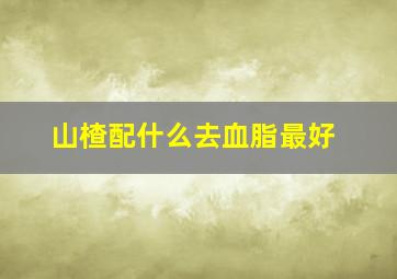 山楂配什么去血脂最好