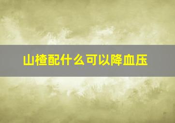 山楂配什么可以降血压