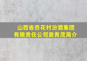 山西省杏花村汾酒集团有限责任公司袁青茂简介