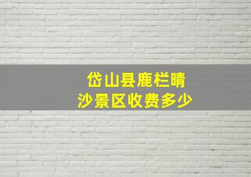 岱山县鹿栏晴沙景区收费多少