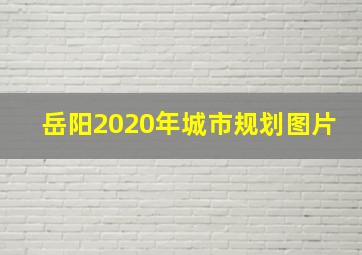 岳阳2020年城市规划图片