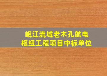 岷江流域老木孔航电枢纽工程项目中标单位