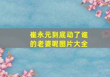 崔永元到底动了谁的老婆呢图片大全