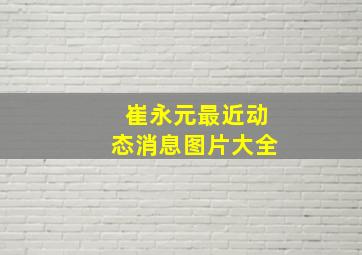 崔永元最近动态消息图片大全