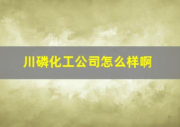 川磷化工公司怎么样啊