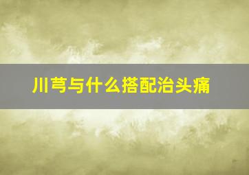 川芎与什么搭配治头痛