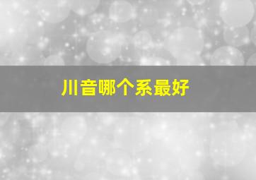 川音哪个系最好