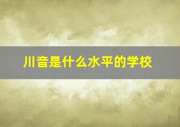 川音是什么水平的学校