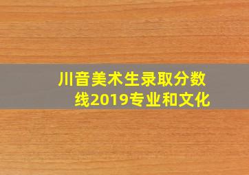 川音美术生录取分数线2019专业和文化