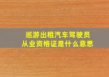 巡游出租汽车驾驶员从业资格证是什么意思