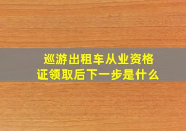 巡游出租车从业资格证领取后下一步是什么