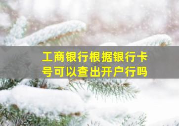 工商银行根据银行卡号可以查出开户行吗