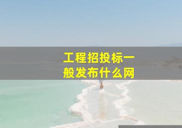 工程招投标一般发布什么网