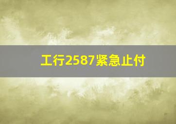 工行2587紧急止付