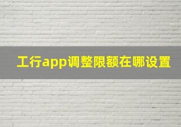 工行app调整限额在哪设置