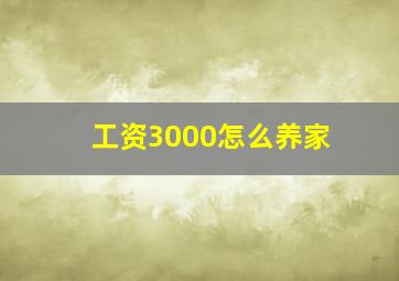 工资3000怎么养家