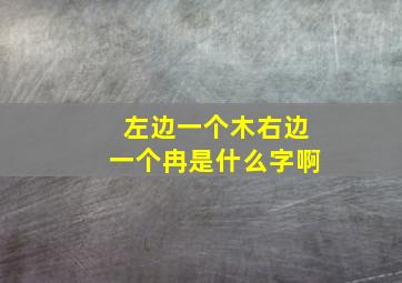 左边一个木右边一个冉是什么字啊