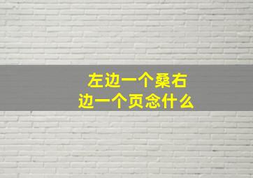 左边一个桑右边一个页念什么