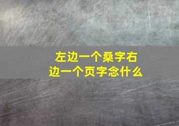 左边一个桑字右边一个页字念什么