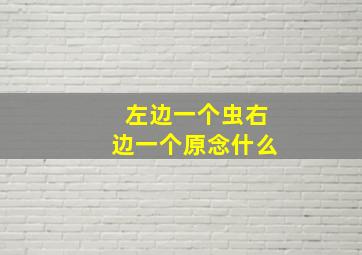 左边一个虫右边一个原念什么