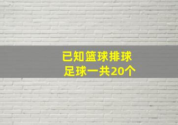 已知篮球排球足球一共20个