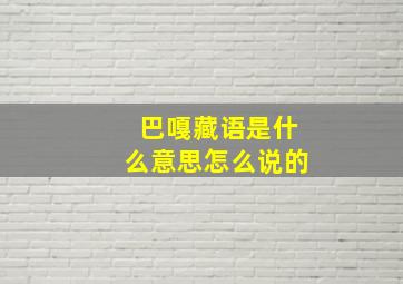 巴嘎藏语是什么意思怎么说的