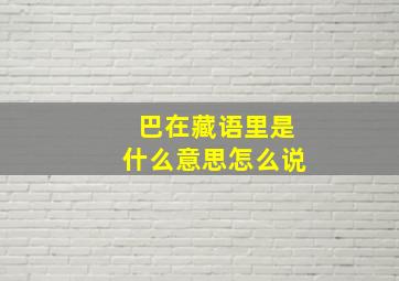 巴在藏语里是什么意思怎么说